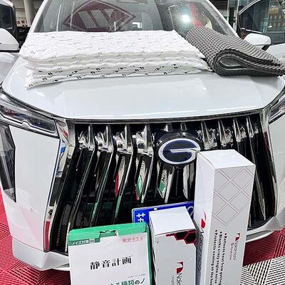 Good price Trumpchi Heat Insulation Pad Custom Tailored Acoustic Buffering Solution online